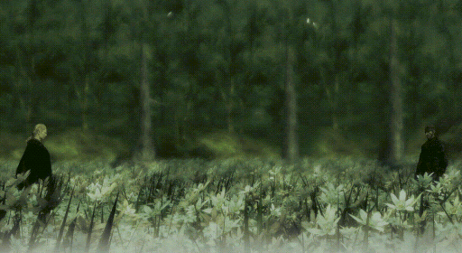 image-6.gif
