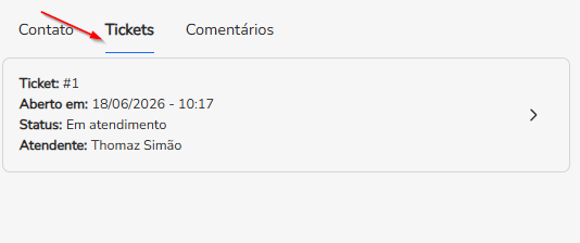 Aba Tickets com o atendente, a fila, o status e o resumo do atendimento do contato