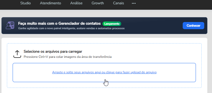 Tela inicial da extensão File Uploader aberta no bot