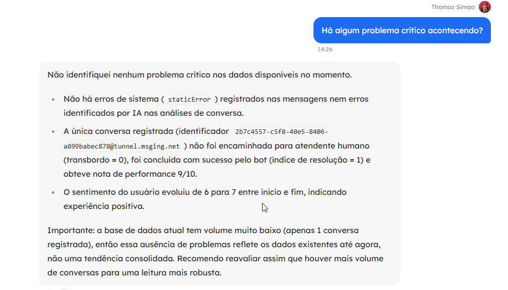 Ask Waizer gerando o relatório a partir dos dados da conversa