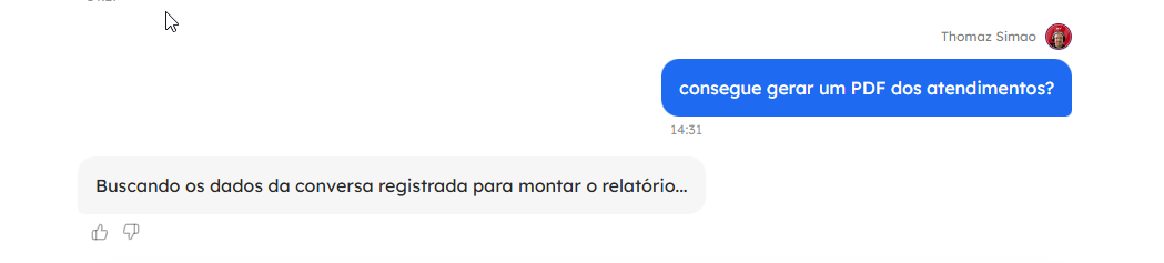 Relatório gerado pelo Ask Waizer disponível como anexo para download