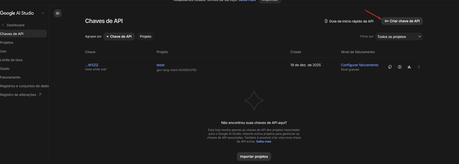 Área de chaves de API do Google AI Studio com o botão Create API Key em destaque