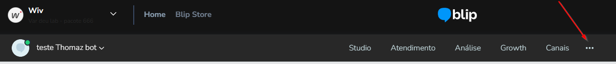 Menu de três pontos do bot com a extensão Google Gemini na lista de extensões instaladas