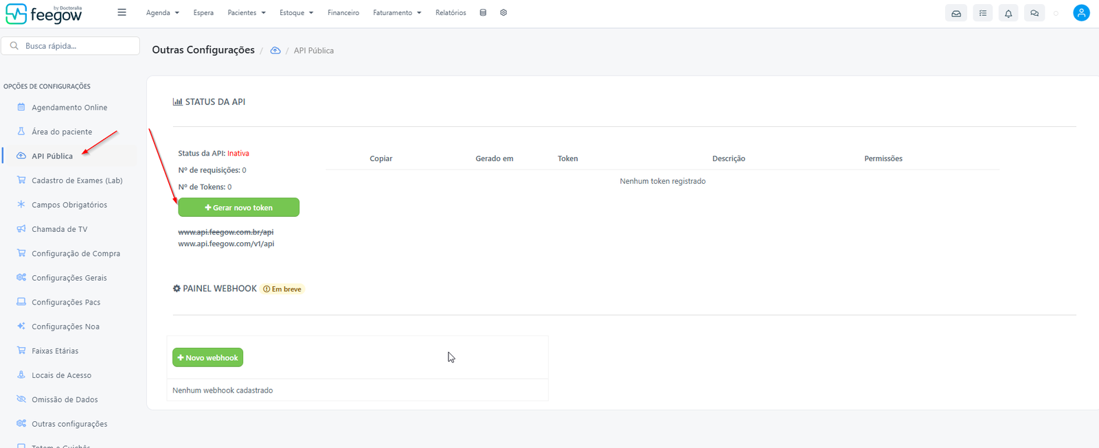 Tela de API Pública do Feegow com o token criado e o ícone de cadeado