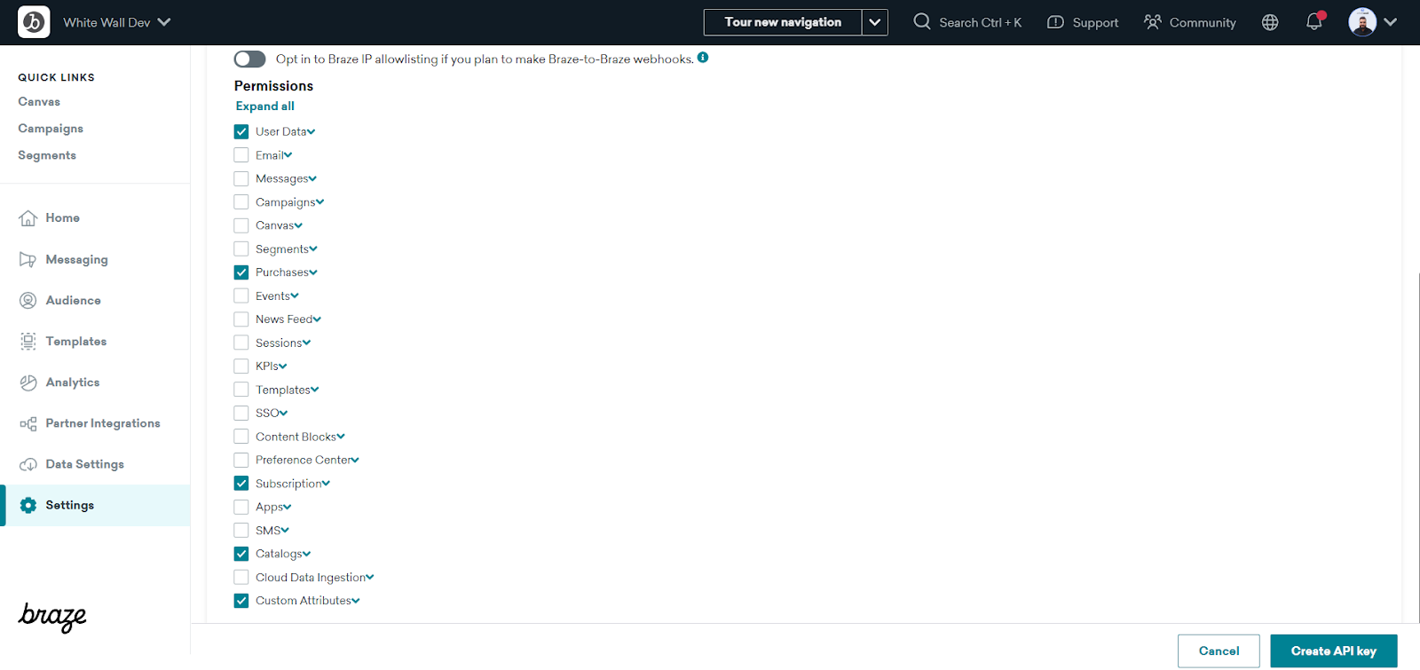 Lista de permissões da API Key do Braze com Catalogs, User Data, Purchases, Subscription e Custom Attributes marcadas