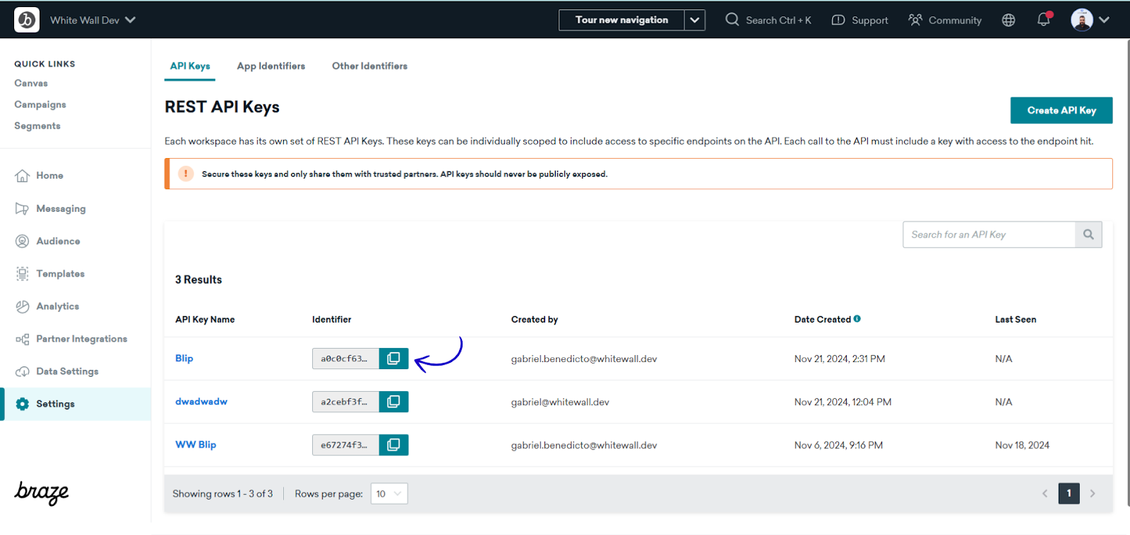 Coluna Identifier da API Key do Braze com o ícone de copiar o token