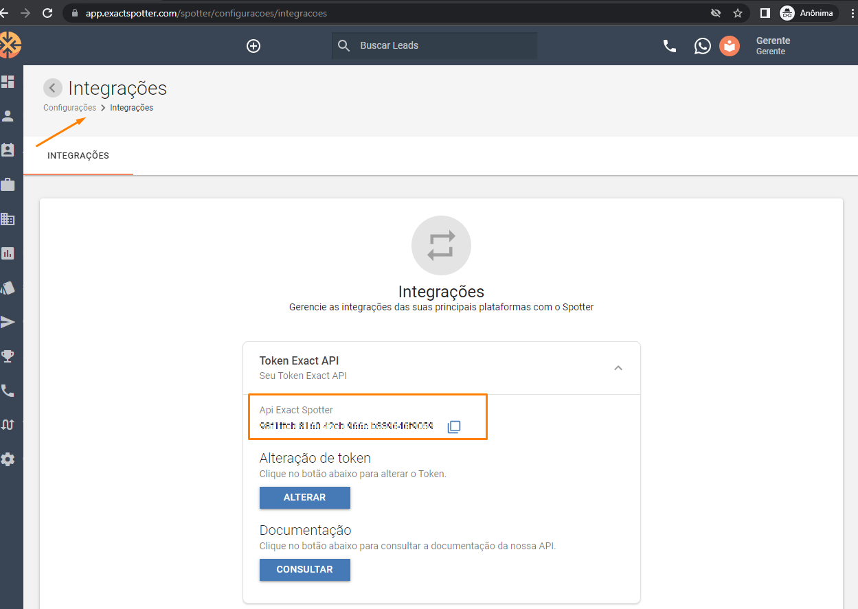 Tela do Token Exact API com o token disponível para cópia