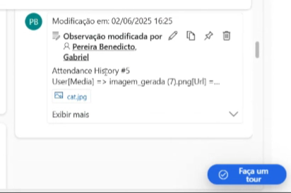 Anotação com a transcrição do atendimento aberta na linha do tempo do lead